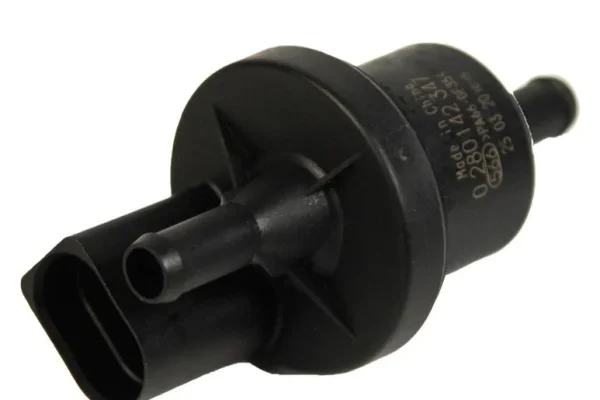 Клапан абсорбера паливного бака: що це таке, як працює і коли його міняти