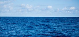 Морські сертифікати: повний гід для тих, хто планує кар'єру на воді