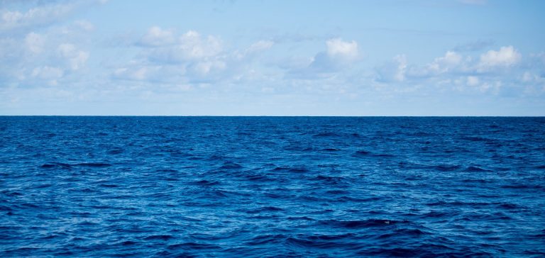 Морські сертифікати: повний гід для тих, хто планує кар'єру на воді