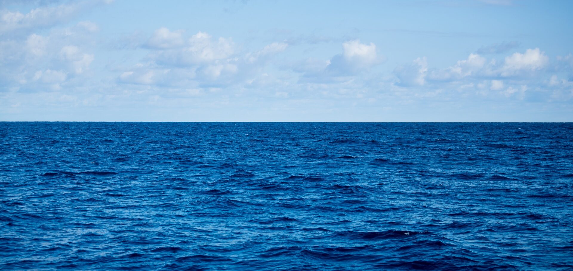 Морські сертифікати: повний гід для тих, хто планує кар'єру на воді