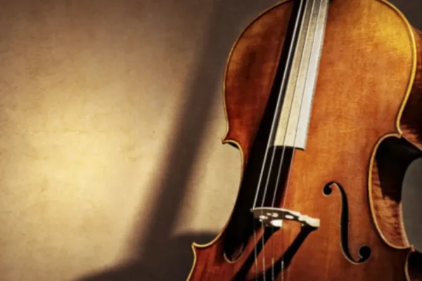 Виолончель, история, устройство и выразительные возможности инструмента