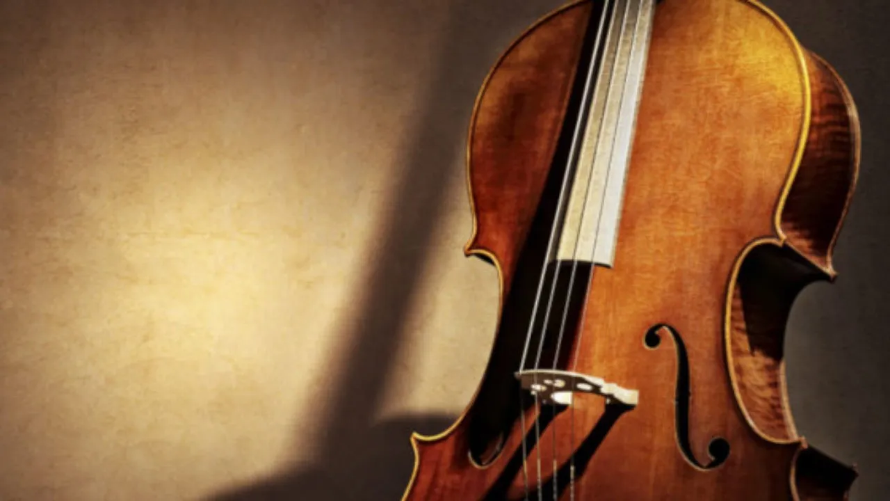 Виолончель, история, устройство и выразительные возможности инструмента